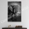 Elephant's Quiet Solace