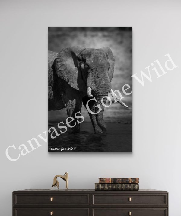 Elephant's Quiet Solace