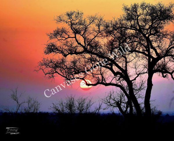 Sunset_JP_001
