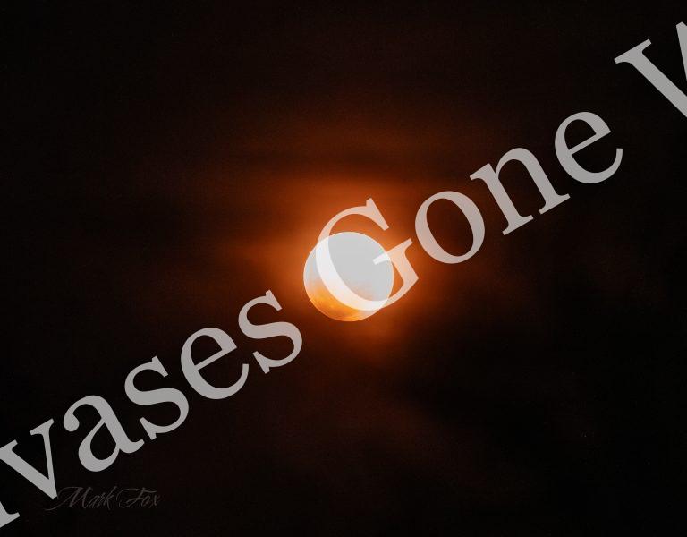 Moon_01_Mark Fox