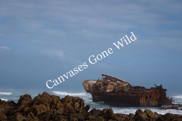 CvW-Shipwrecked