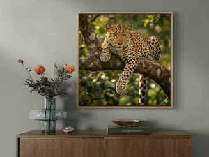 Canvases Gone Wild place picture