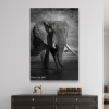 Elephant's Quiet Solace