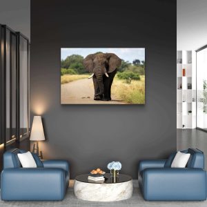 The Bushveld Traveler The Bushveld Traveler